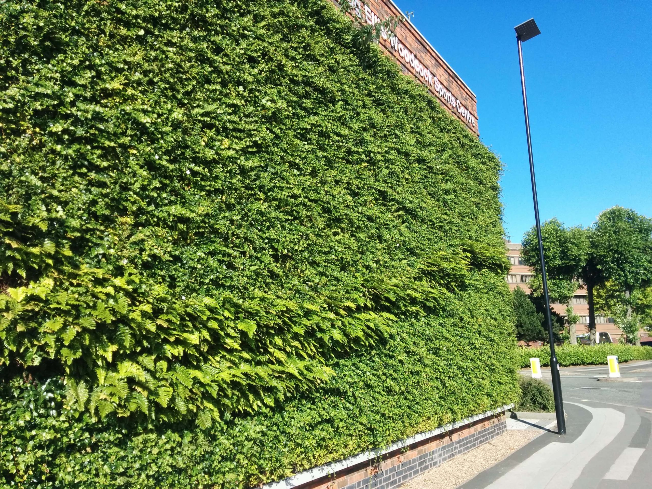 Outdoor Living Wall
 Benefits of outdoor Living Green Walls and Vertical