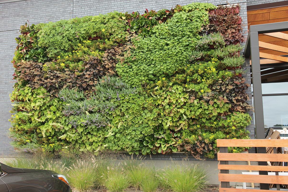 Outdoor Living Wall
 Outdoor LiveWall Green Wall System