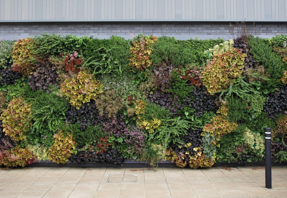 Outdoor Living Wall
 Custom Living Walls for Any Space