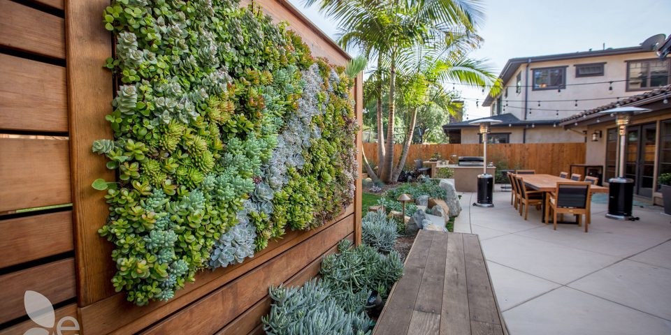 Outdoor Living Wall
 Living Wall Installation in San Diego CA