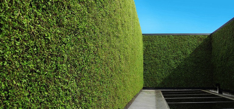 Outdoor Living Wall
 Outdoor living green walls a year round experience