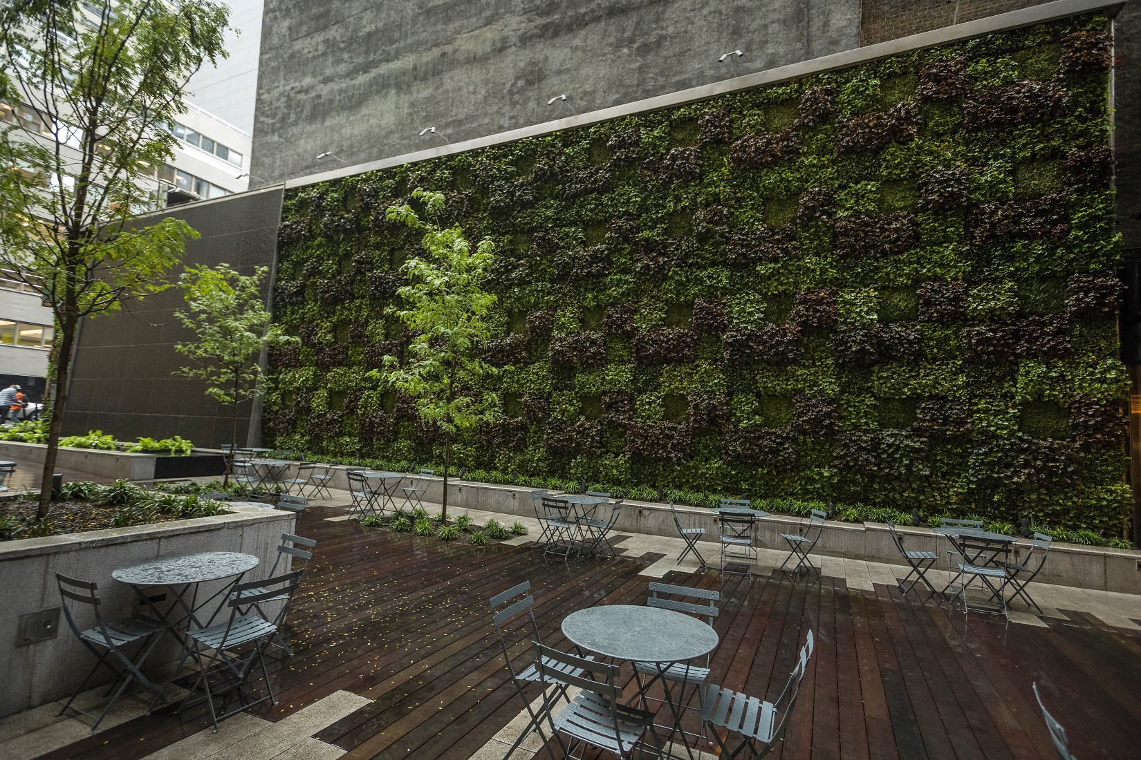 Outdoor Living Wall
 The Value of Outdoor Living Walls