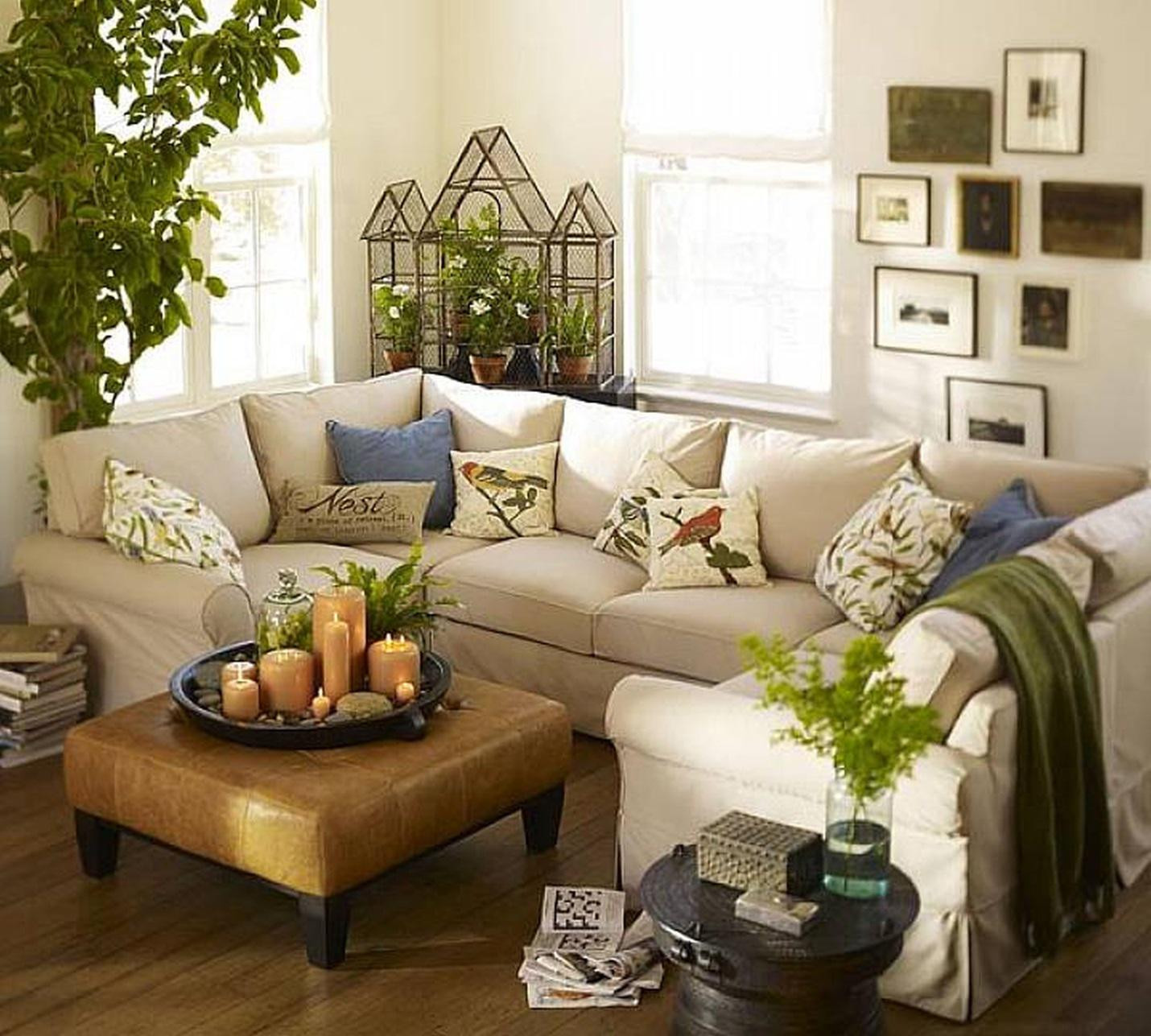 Plants In Living Room Ideas
 Decorating our homes with plants Interior Design Explained