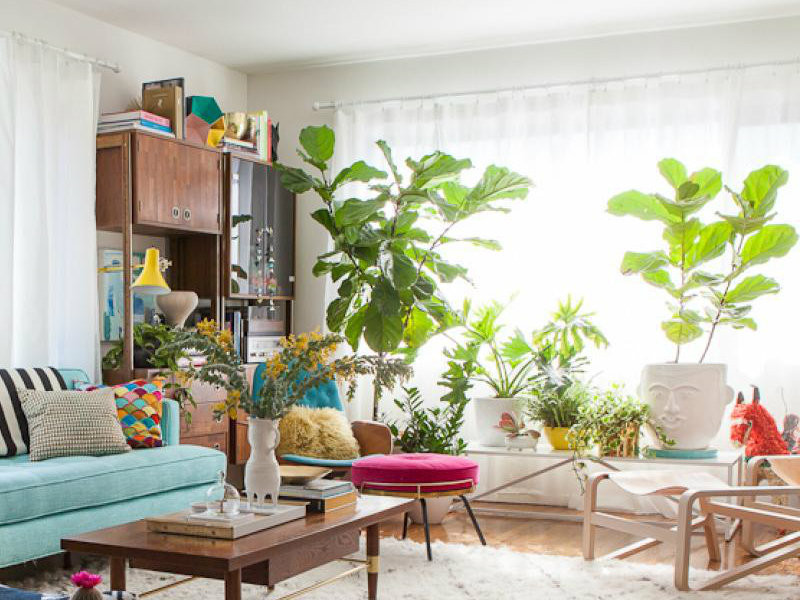 Plants In Living Room Ideas
 10 Cheerful living room ideas with plants Covet Edition