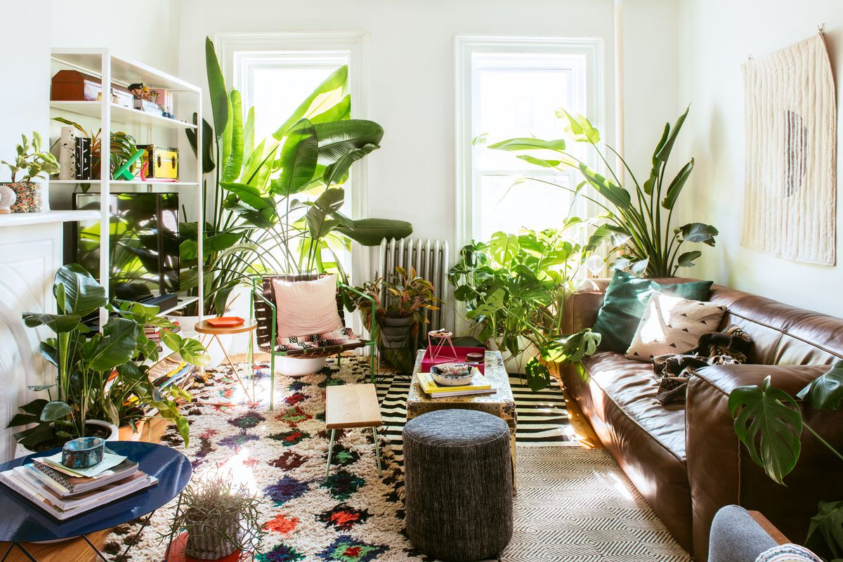 Plants In Living Room Ideas
 Best Instagram accounts for plant lovers Curbed