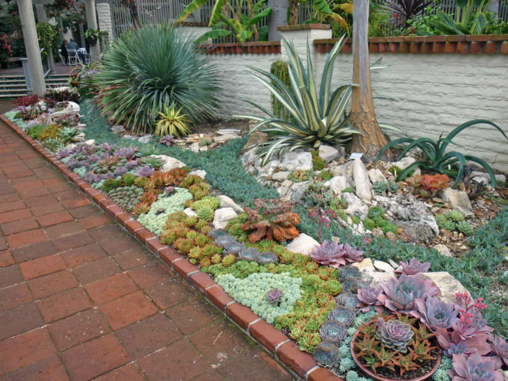 Plants Outdoor Landscape
 How to Plant an Outdoor Succulent Garden