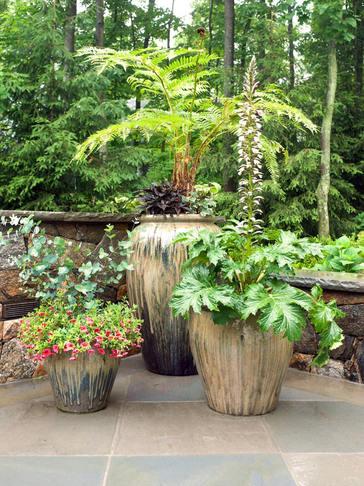 Plants Outdoor Landscape
 11 Most Essential Container Garden Design Tips