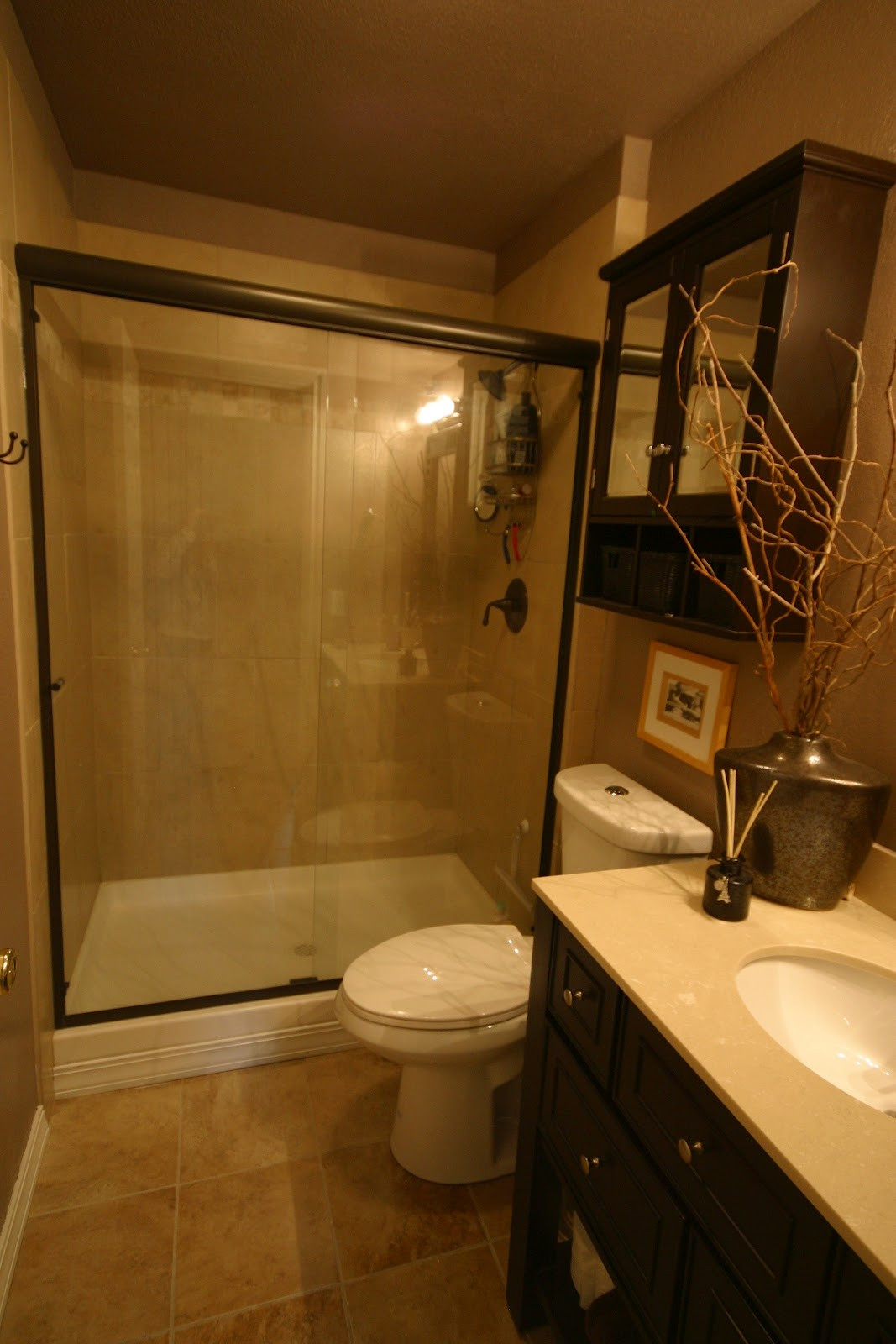 Remodel Bathroom Shower
 Small Bathroom Remodels Maximal Outlook in Minimal Space