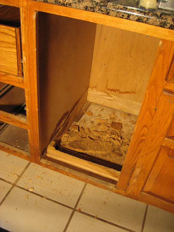 Repair Kitchen Cabinet
 Honey Oak Retrofit