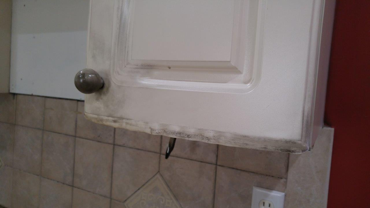 Repair Kitchen Cabinet
 Fix Kitchen cabinets damaged due to fire Home