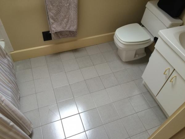 Replacement Bathroom Tiles
 Bathroom remodel prepping subfloor for replacing tile