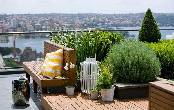 Rooftop Terrace Landscape
 11 Most Essential Rooftop Garden Design Ideas and Tips