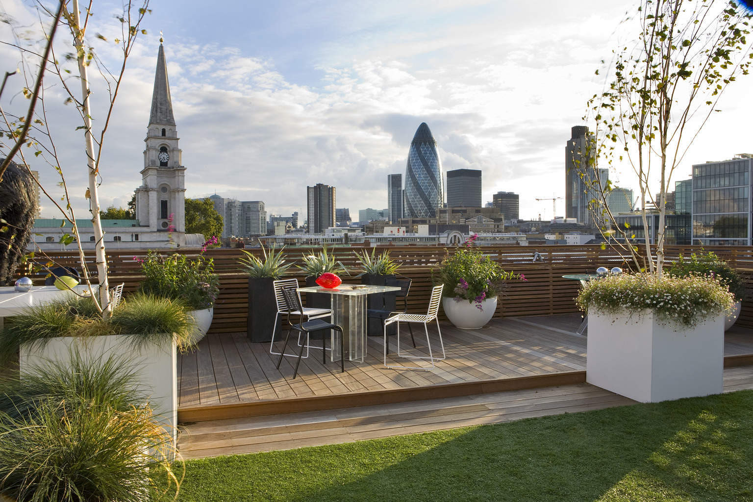 Rooftop Terrace Landscape
 Garden Design Ideas by DfM Landscape Designers