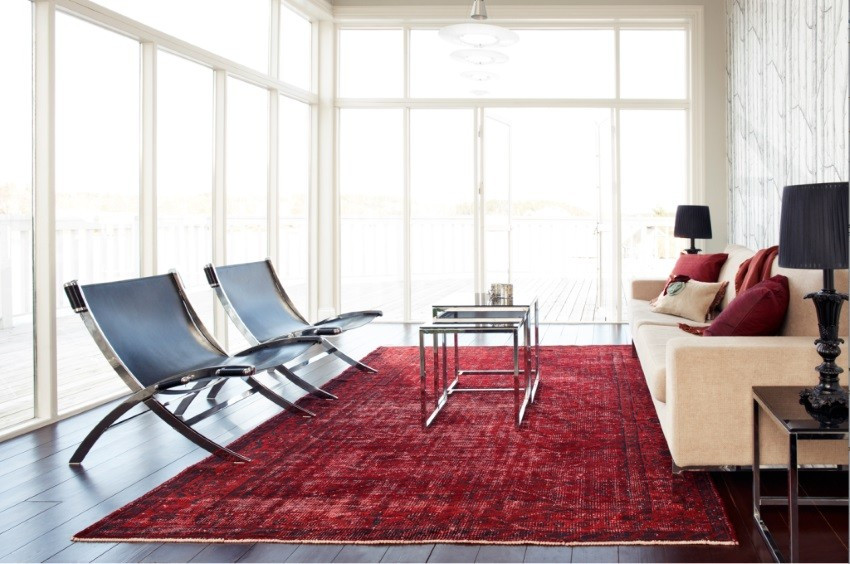 Rug Living Room
 Overdyed and Persian Rugs Home Designs