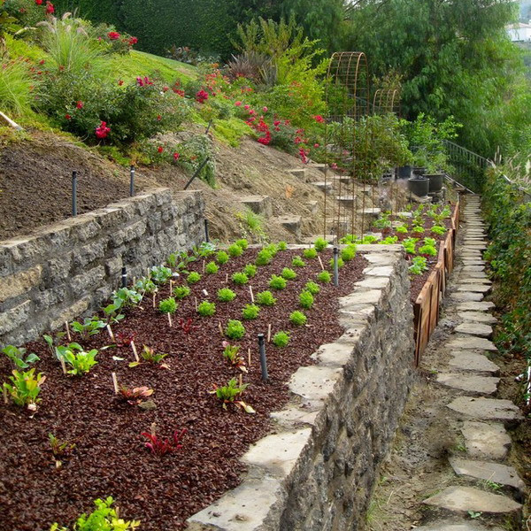 Sloped Backyard Ideas
 Vegans Living f the Land Gardening on a hill bank