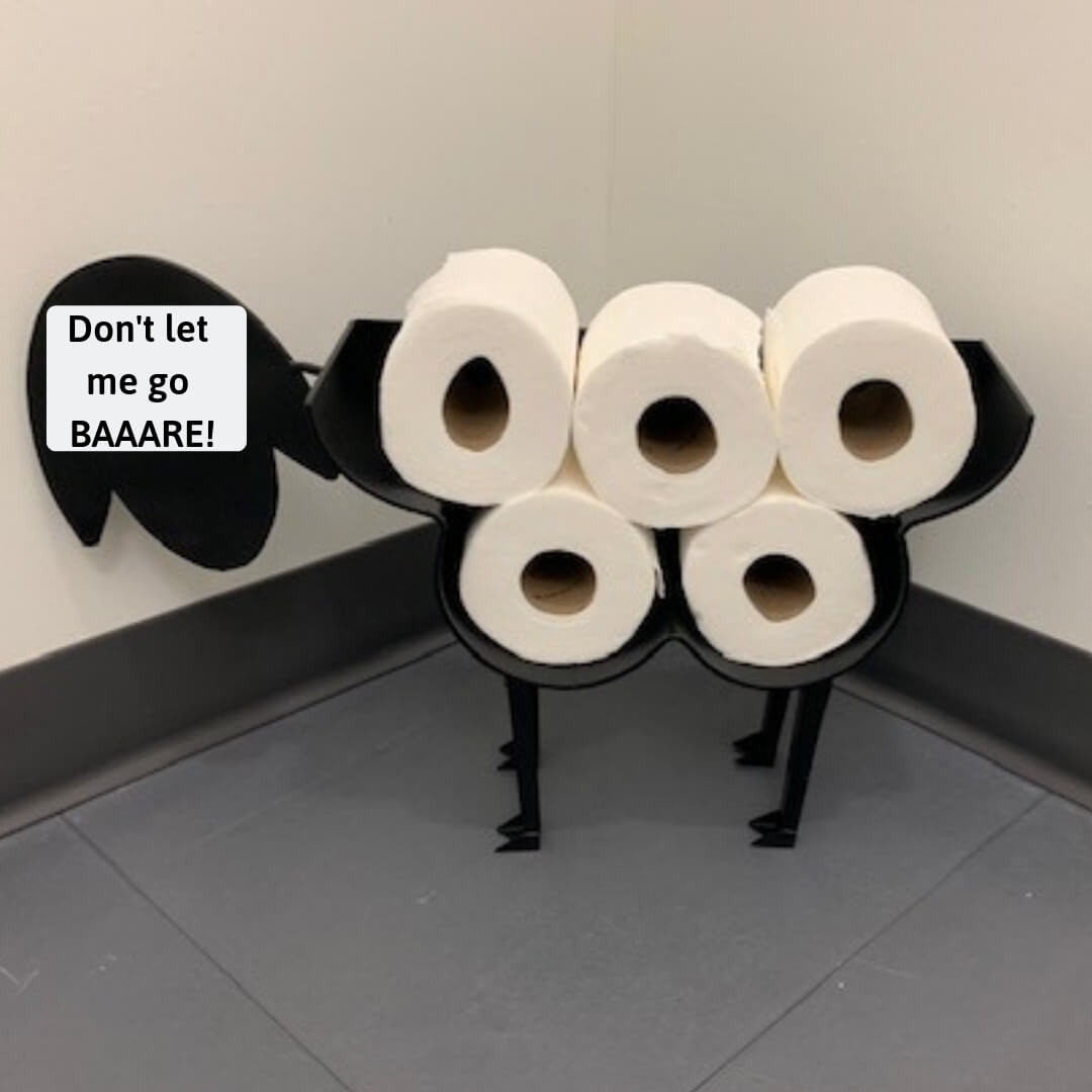 Small Bathroom Toilet Paper Holder
 small bathroom toilet paper holder greencleandesigns