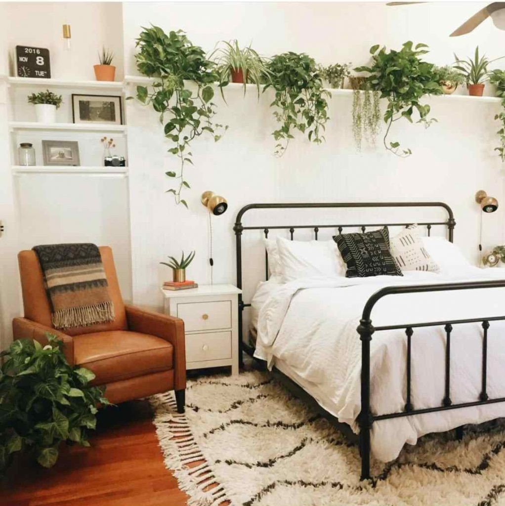 Small Bedroom Plants
 3 bedroom plants that will help you sleep better at