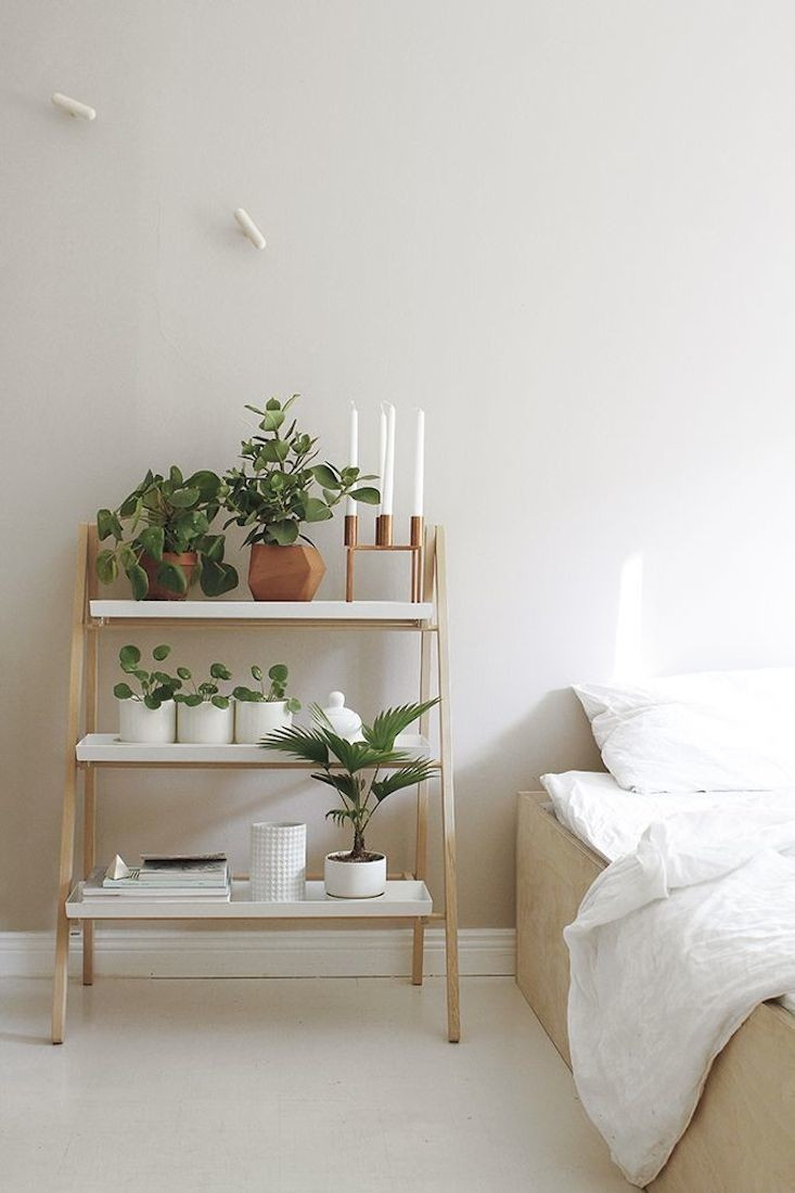 Small Bedroom Plants
 Ideas of Including Indoor Plant Shelves in Your Home’s
