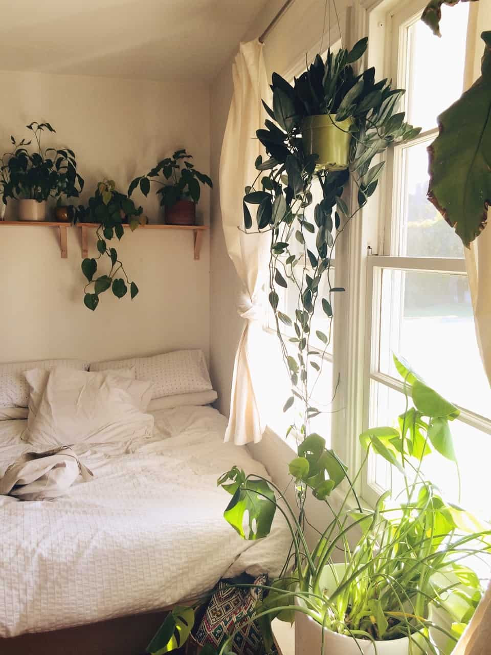 Small Bedroom Plants
 13 Tips and Tricks How To Decorate A Small Bedroom