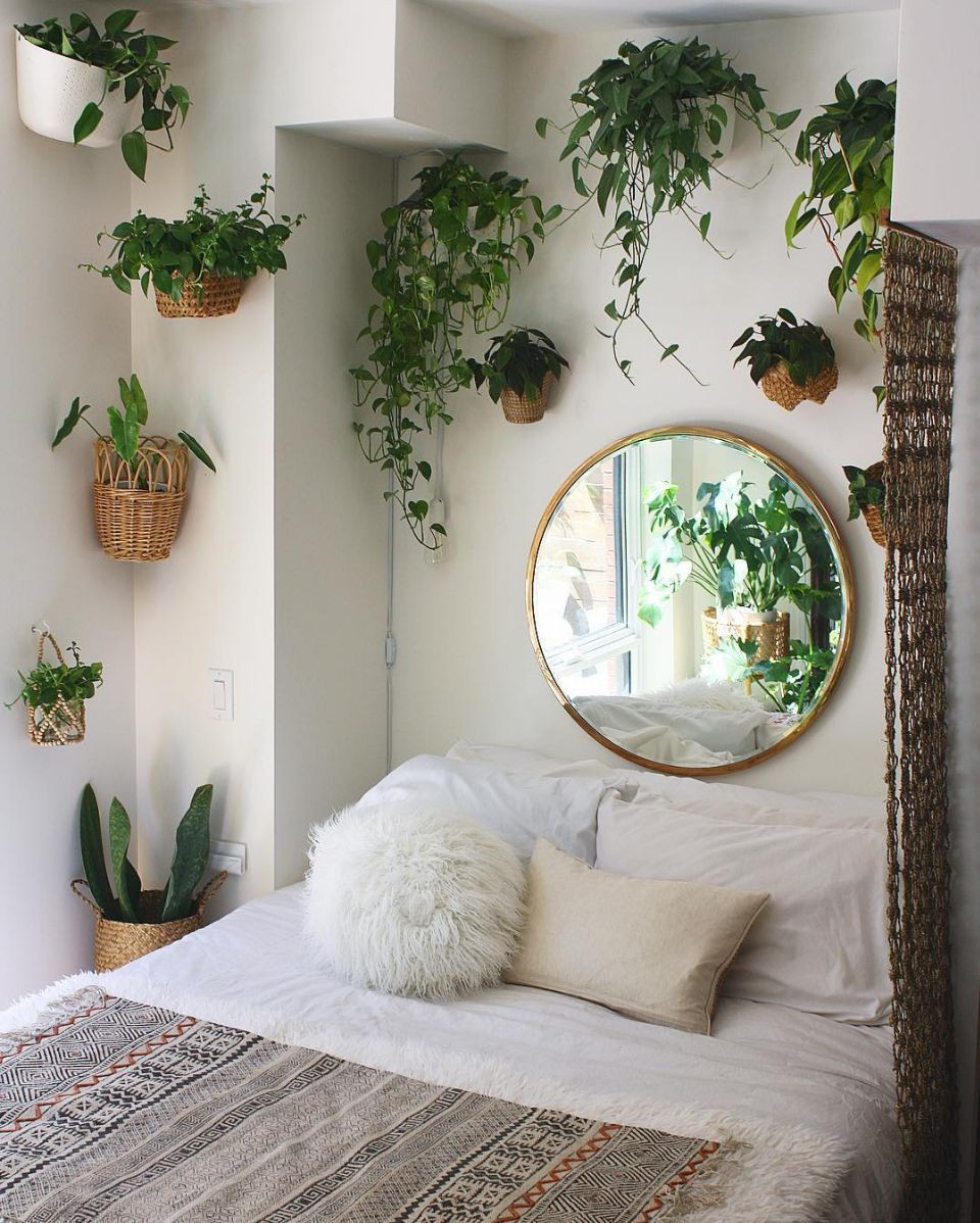 Small Bedroom Plants
 13 smart and savvy small bedroom decorating ideas