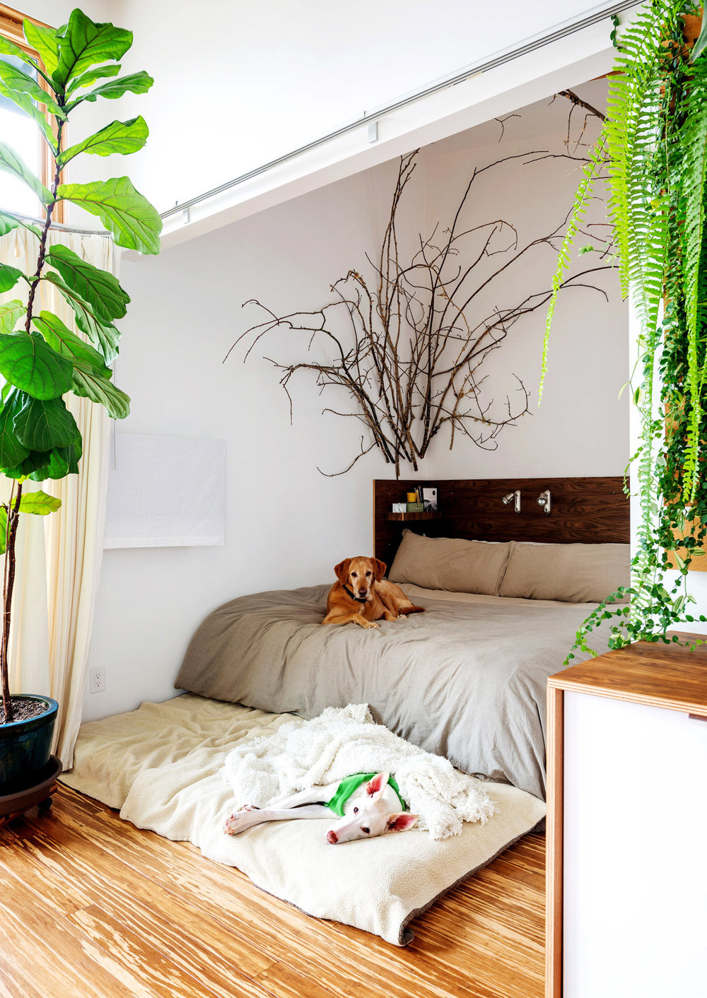 Small Bedroom Plants
 Design Highlight Bedrooms Using Live Plants as Decor