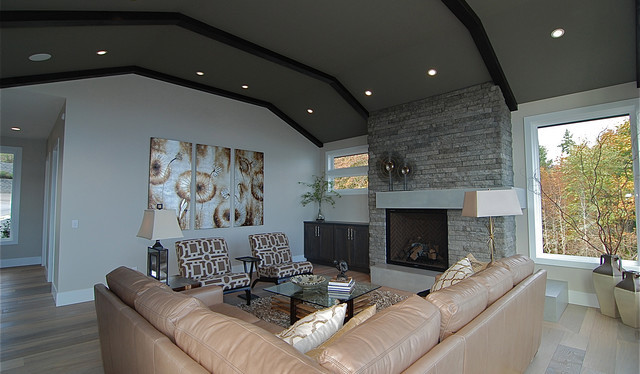 Stone Accent Wall Living Room
 Stone Accent Wall and Fireplace Transitional Living