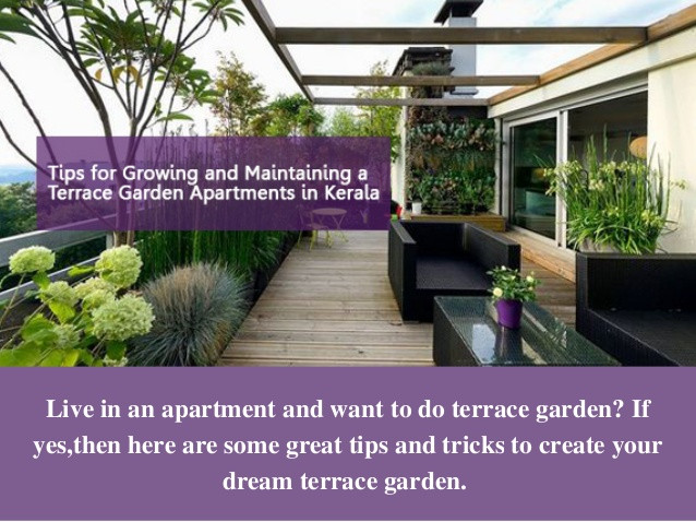 Terrace Landscape Apartment
 Tips For Growing And Maintaining A Terrace Garden