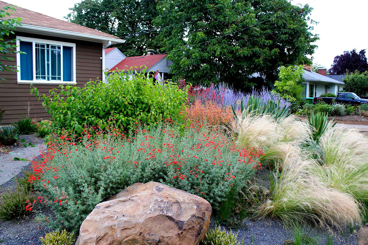 Terrace Landscape Drought Tolerant
 Drought Tolerant Garden with Gravel – Creative Landscapes