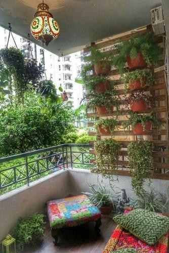 Terrace Landscape India
 Balcony And Terrace Garden Design in Sector 49 Gurgaon