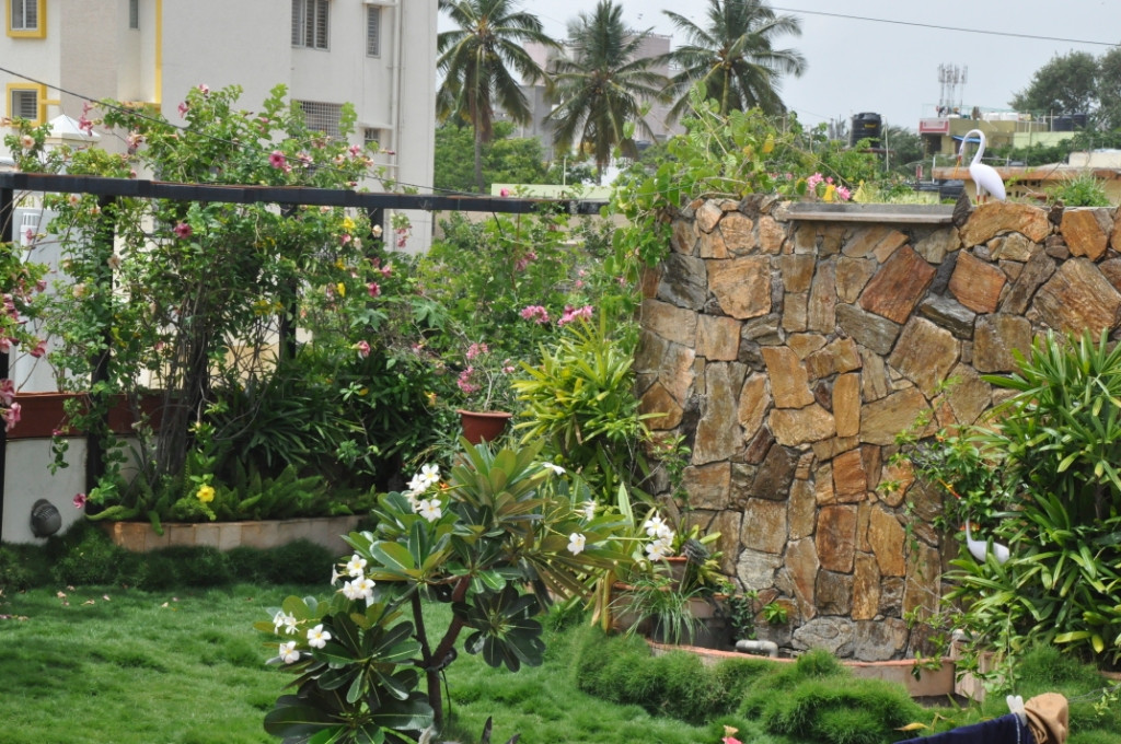 Terrace Landscape India
 YOUR VIEW Here Is How You Can Create A Tiny Organic Farm