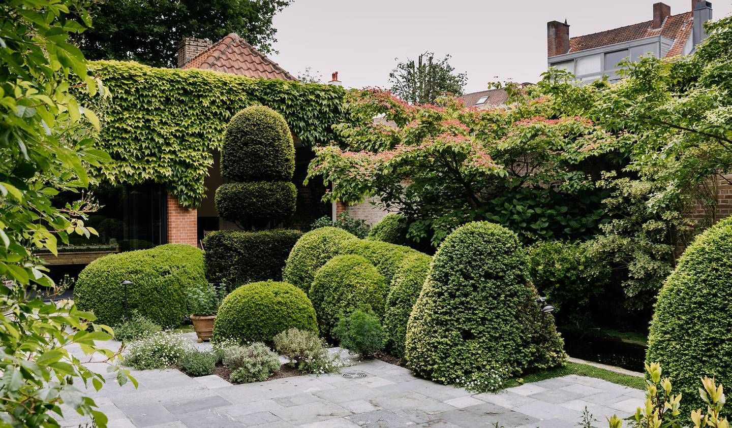 Terrace Landscape Inspiration
 The magnificent terrace garden of a townhouse in Bruges