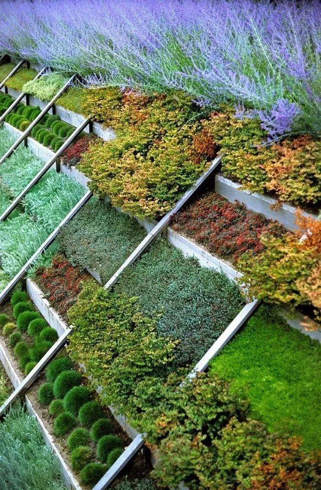 Terrace Landscape Inspiration
 40 home terrace garden inspirations 3 With images
