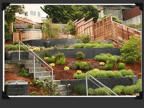 Terrace Landscaping Ideas
 11 best images about Terraced front yard on Pinterest