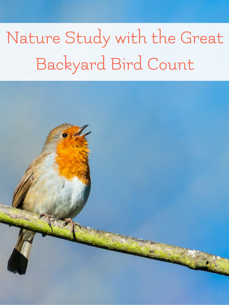 The Great Backyard
 Bird Watching and the Great Backyard Bird Count