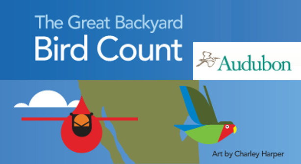 The Great Backyard
 The Great Backyard Bird Count Chapelboro