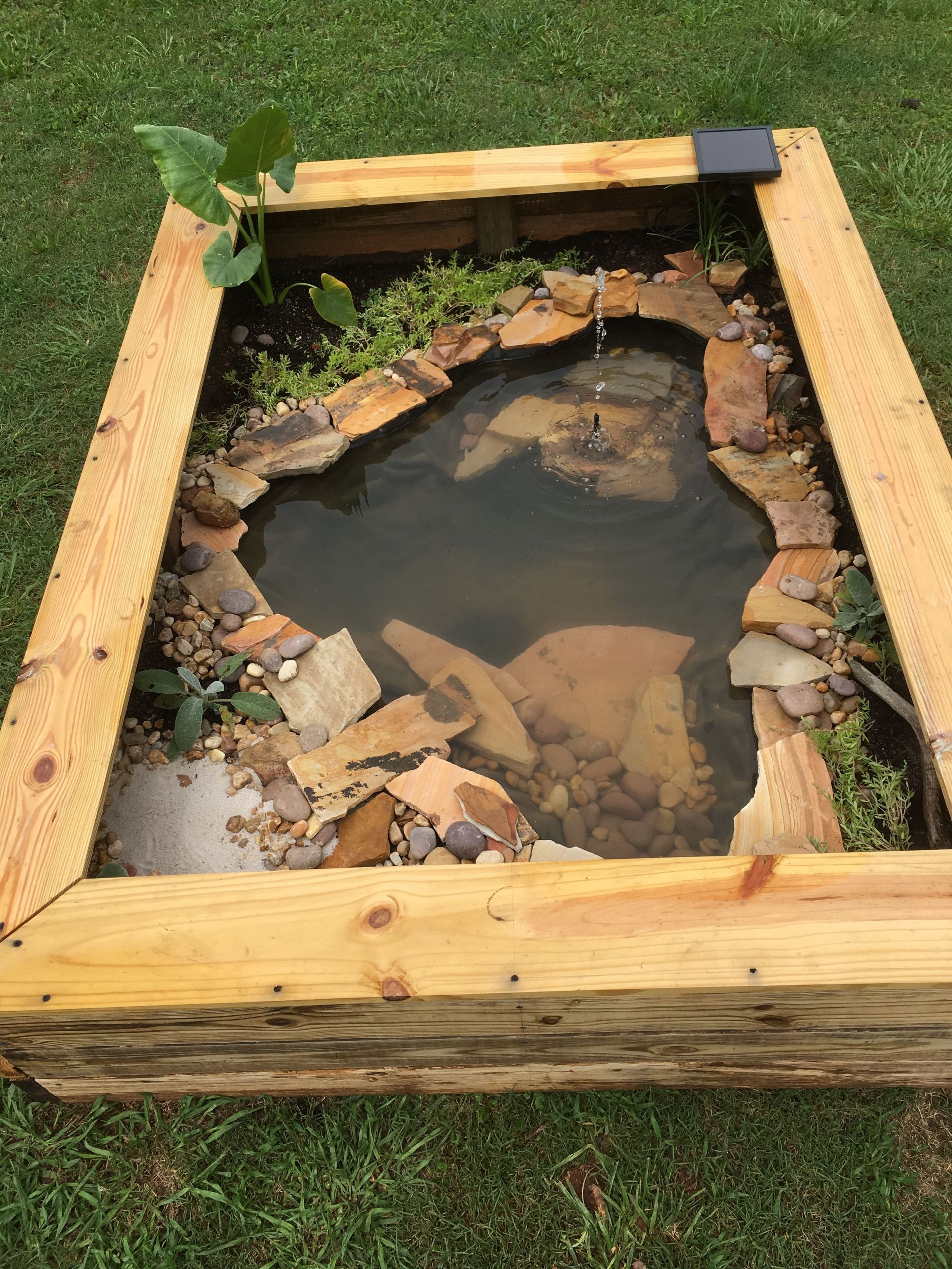 Diy Above Ground Koi Pond
 1000 images about above ground ponds on Pinterest