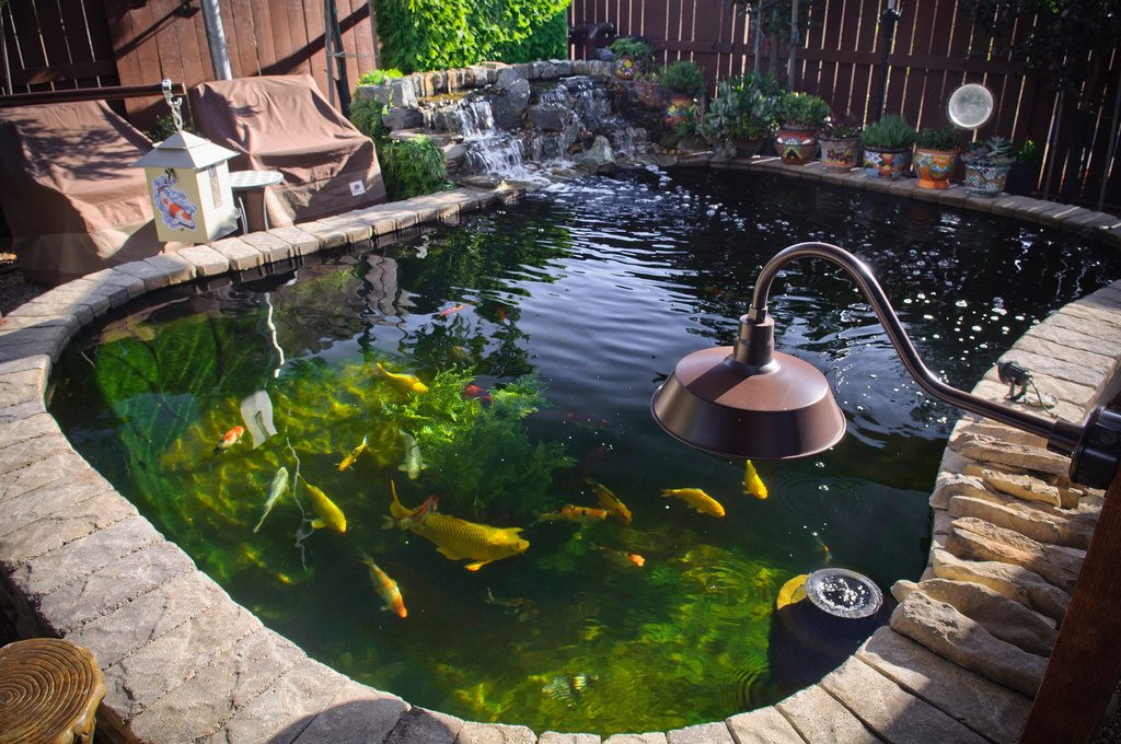 Diy Above Ground Koi Pond
 25 Inspiring Koi Pond Ideas for Your Backyard