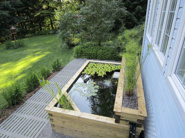 Diy Above Ground Koi Pond
 1000 images about above ground ponds on Pinterest